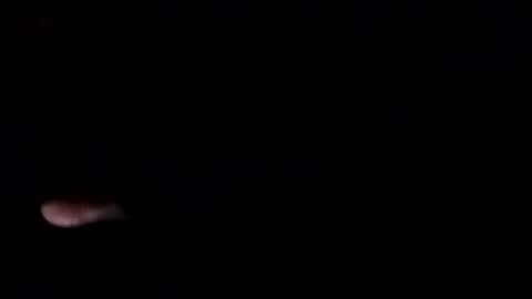 Snapshot of tretrix5588 chatting on 04-22-26, 05:10 tretrix5588 online show from 04-22-26, 05:10
