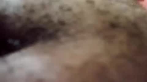 Snapshot of trinislim1868 chatting on 10-08-25, 09:34 Antique-Shirt2516 online show from 10-08-25, 09:34