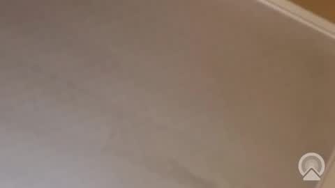 Snapshot of trinislim1868 chatting on 11-13-25, 12:09 Antique-Shirt2516 online show from 11-13-25, 12:09