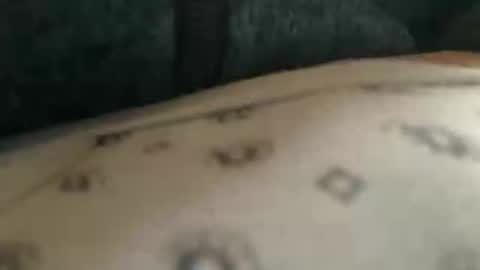 Snapshot of trobelle chatting on 11-25-25, 10:37 trobelle online show from 11-25-25, 10:37