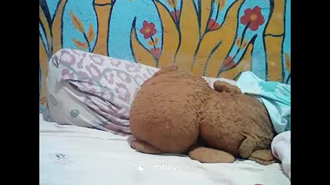 ts_cuumlover online show from 12-02-24, 01:14