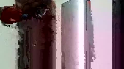 ts_herrera online show from 02-02-25, 07:57