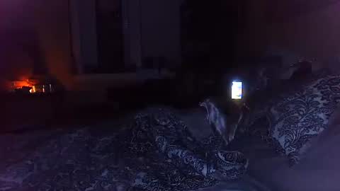 Snapshot of tsamberwhite007 chatting on 10-29-25, 03:20 Amber White online show from 10-29-25, 03:20