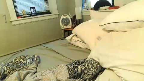 Amber White online show from 02-01-26, 02:37