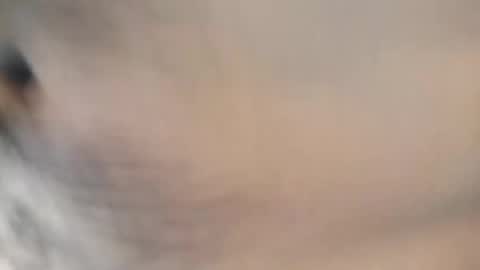 Snapshot of ttimmyt chatting on 11-08-25, 08:07 ttimmyt online show from 11-08-25, 08:07