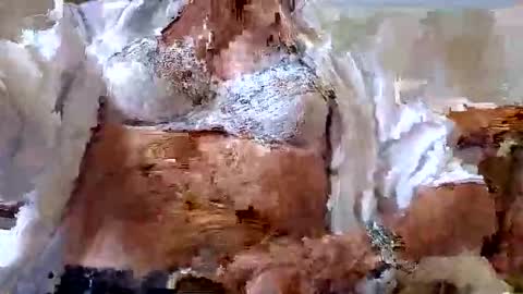 FINN but call me NANNA online show from 09-09-25, 12:59