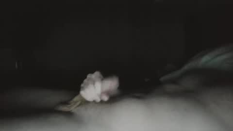 Snapshot of tucker9810 chatting on 03-23-26, 01:31 tucker 28 m online show from 03-23-26, 01:31