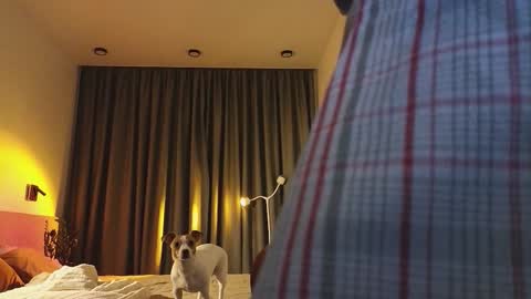 Ariana online show from 12-03-25, 09:46