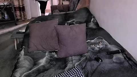 Lana online show from 11-17-25, 07:36