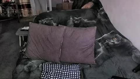 Lana online show from 03-20-26, 11:31