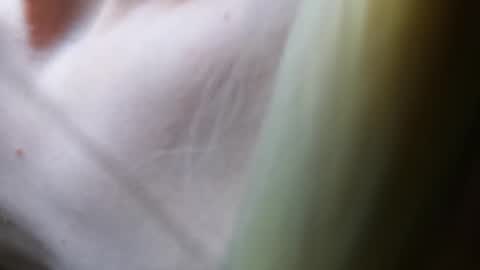 Snapshot of twinkboy2019 chatting on 03-07-25, 04:44 Vicky Victor online show from 03-07-25, 04:44