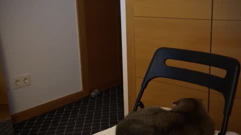 Snapshot of twinksweetlovehot chatting on 12-05-24, 05:06 twinksweetlovehot online show from 12-05-24, 05:06