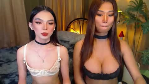 twinktransshanel online show from 10-08-25, 05:05