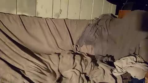 TwistedBlizzy online show from 01-22-25, 06:20