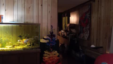 twocumkerry online show from 02-13-25, 08:06