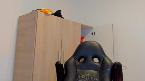     online show from 03-02-25, 10:59