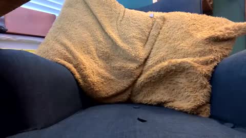 ukclive online show from 02-05-25, 01:22