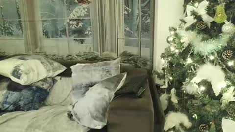 ukfitboy81 online show from 11-22-25, 01:48