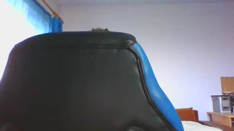 ulmeni4 online show from 12-04-25, 06:44