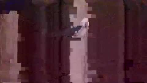 uncut4urbutt online show from 12-08-24, 12:19