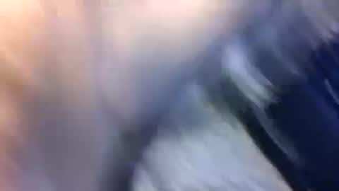 Snapshot of uncut7half237495 chatting on 10-17-25, 03:42 uncut7half237495 online show from 10-17-25, 03:42