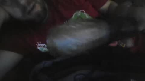 Snapshot of uncutgemkin chatting on 12-17-25, 07:03 UncutGem online show from 12-17-25, 07:03