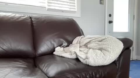 ungerisland online show from 03-09-25, 07:26