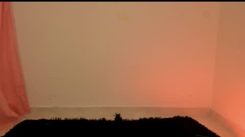 new INSTA   online show from 12-29-24, 03:00