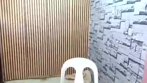 Snapshot of ur_asian_wife6969 chatting on 03-18-26, 05:21 ur_asian_wife6969 online show from 03-18-26, 05:21