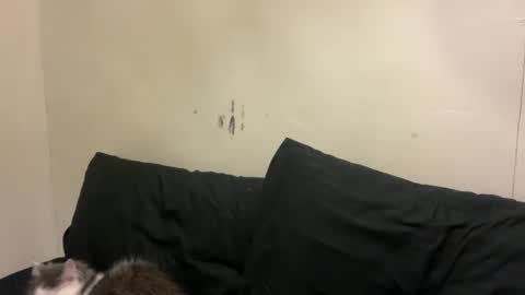 Snapshot of urasaintwink chatting on 03-10-26, 01:05 Bran online show from 03-10-26, 01:05