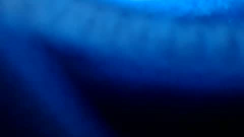Snapshot of urasian_pinayjessaxxx chatting on 07-08-26, 07:13 urasian_pinayjessaxxx online show from 07-08-26, 07:13