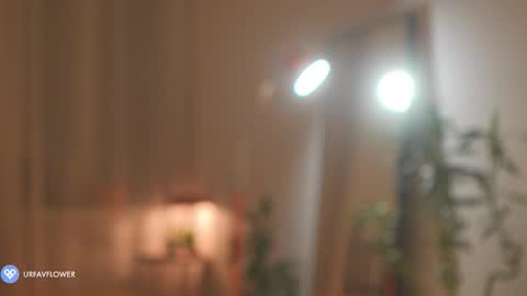 Snapshot of urfavflwers chatting on 11-09-25, 07:12 Aleksandra online show from 11-09-25, 07:12