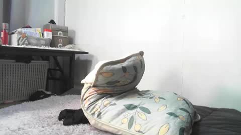 Snapshot of urnightmarets chatting on 02-03-26, 09:03 Rbabes online show from 02-03-26, 09:03