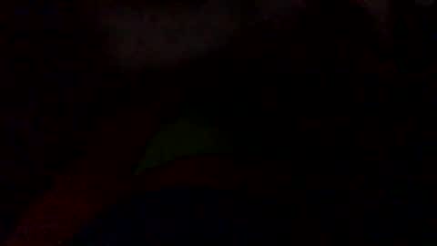 Snapshot of user1110047 chatting on 10-10-25, 11:42 user1110047 online show from 10-10-25, 11:42