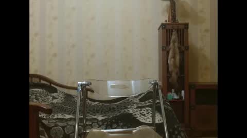 valentijm online show from 04-17-26, 06:22