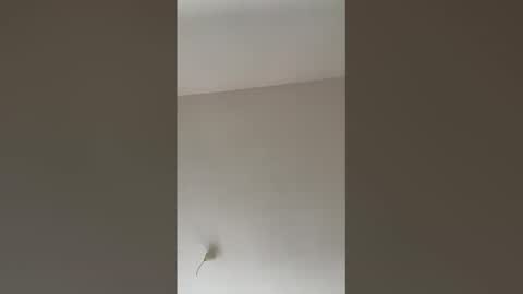 valerianleclercq2025 online show from 02-27-26, 04:07