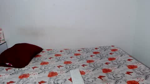 Snapshot of valery_and_santiago chatting on 07-03-26, 01:34 valery_and_santiago online show from 07-03-26, 01:34