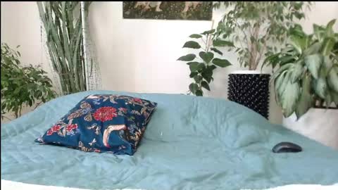 Mollyy Valentine online show from 04-23-26, 09:08