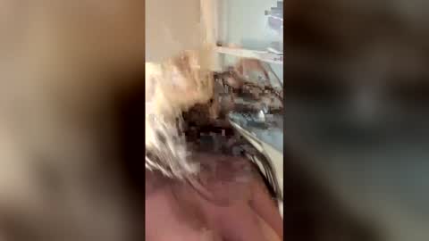 vanessareed_ online show from 05-04-26, 09:33