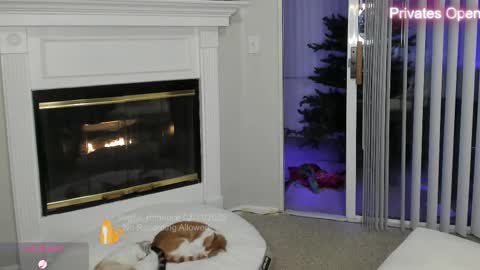 Snapshot of vegas_romance chatting on 02-12-25, 08:49 vegas_romance online show from 02-12-25, 08:49