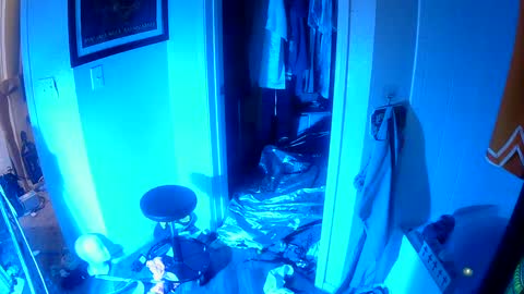 vegasmd online show from 02-04-25, 11:38