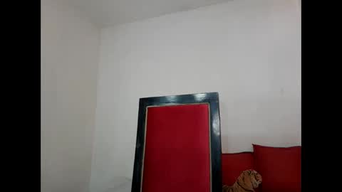 velk_hot1 online show from 02-26-25, 06:54