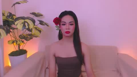 Velvet online show from 05-30-26, 02:41
