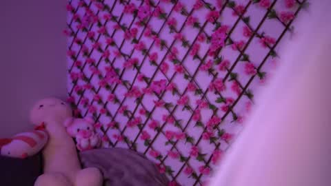 Polly online show from 11-04-25, 06:18