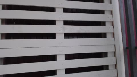 velvetmoon123 online show from 05-22-26, 12:33