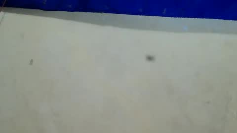 velvet online show from 12-12-24, 08:25