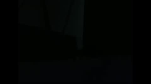 vendi1 online show from 12-28-24, 09:52