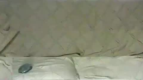 ventura50 online show from 03-06-25, 08:30