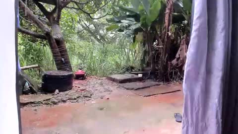 Snapshot of venusandzeus chatting on 01-13-26, 12:43 venus ... zeus sheer online show from 01-13-26, 12:43