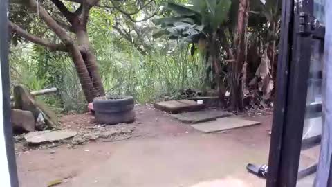 Snapshot of venusandzeus chatting on 01-19-26, 12:42 venus ... zeus sheer online show from 01-19-26, 12:42